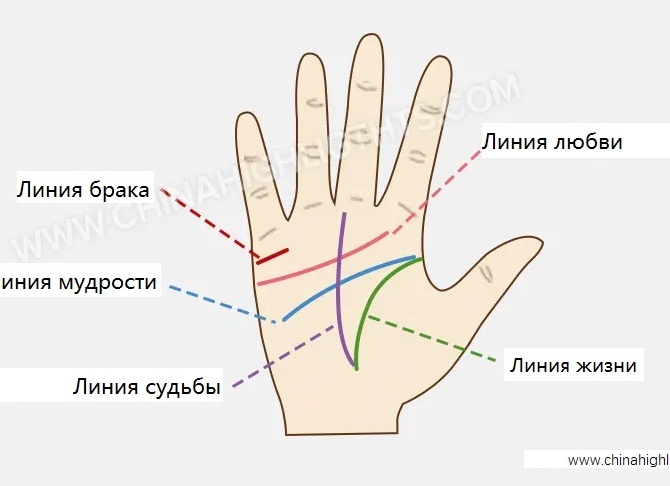 Значение линий на руке по хиромантии для начинающих в картинках Значение линий на руке по хиромантии для начинающих в картинках
