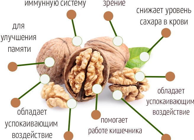 Чем полезен грецкий орех для организма человека