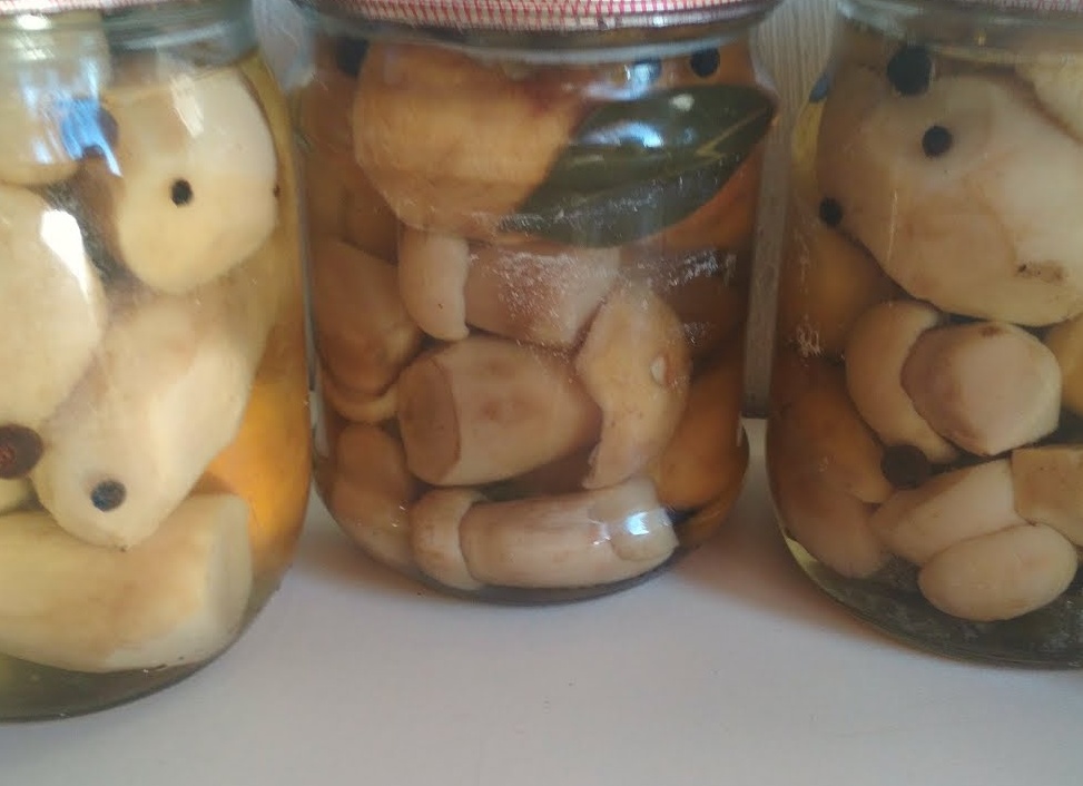 Как мариновать белые грибы в домашних условиях