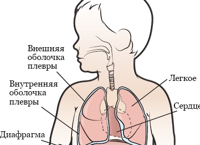 Принципы лечебного голодания в домашних условиях