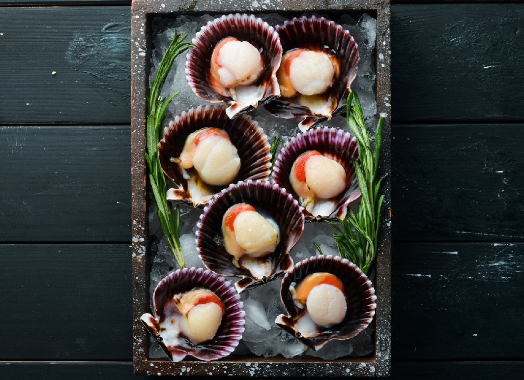 Рецепты легких и праздничных салатов из креветок