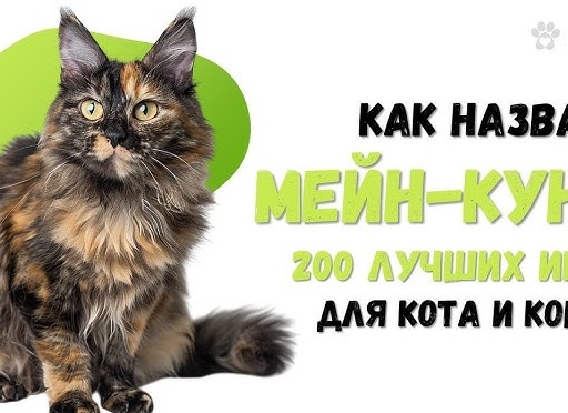 Какими ласковыми словами можно называть парня Какими ласковыми словами можно называть парня