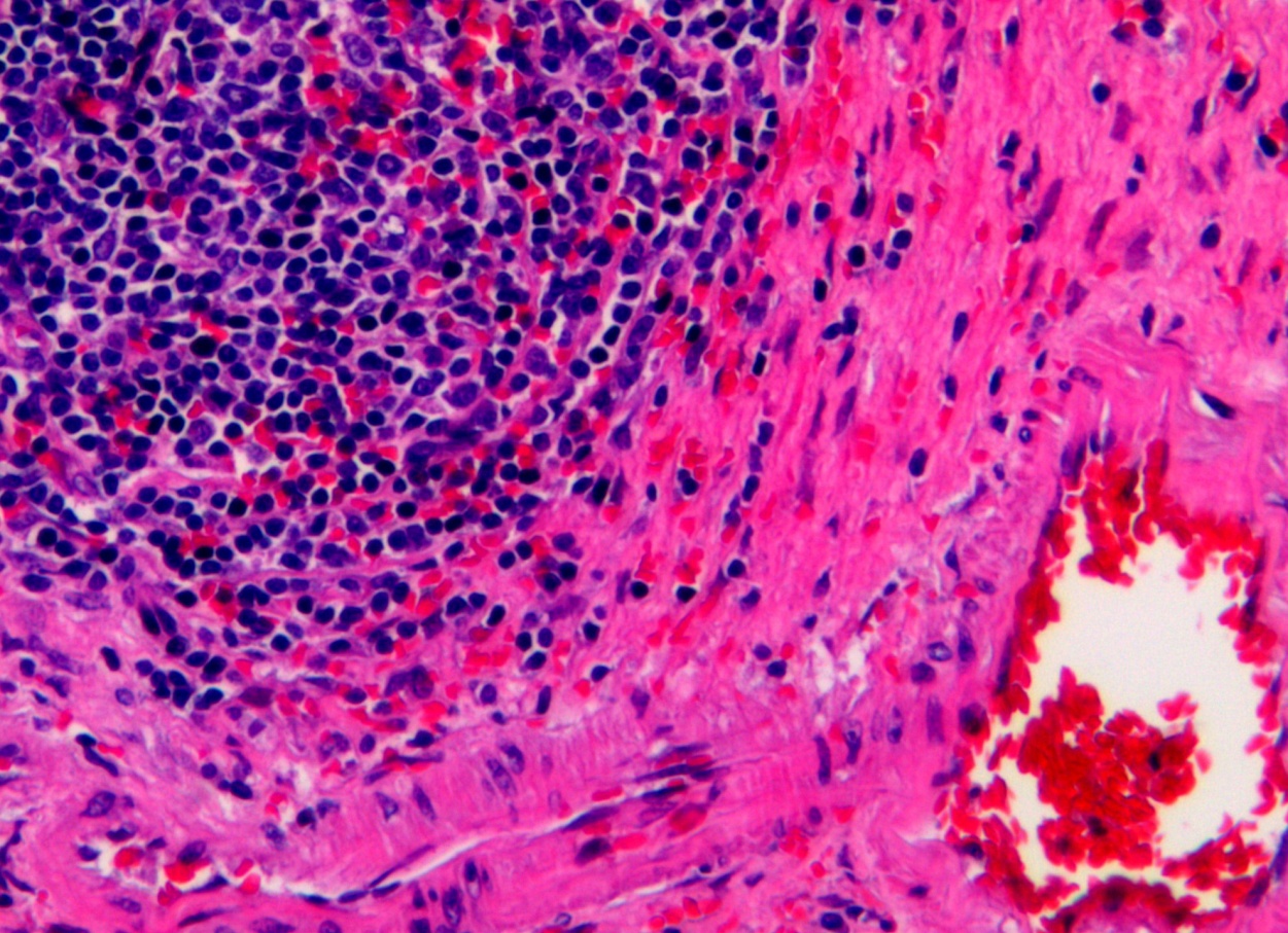 Все нюансы и тонкости колорирования на светлые волосы в домашних условиях