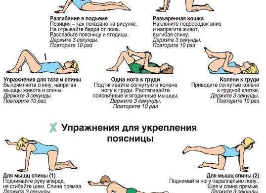 Какие упражнения для мышц спины можно делать дома и в тренажерке