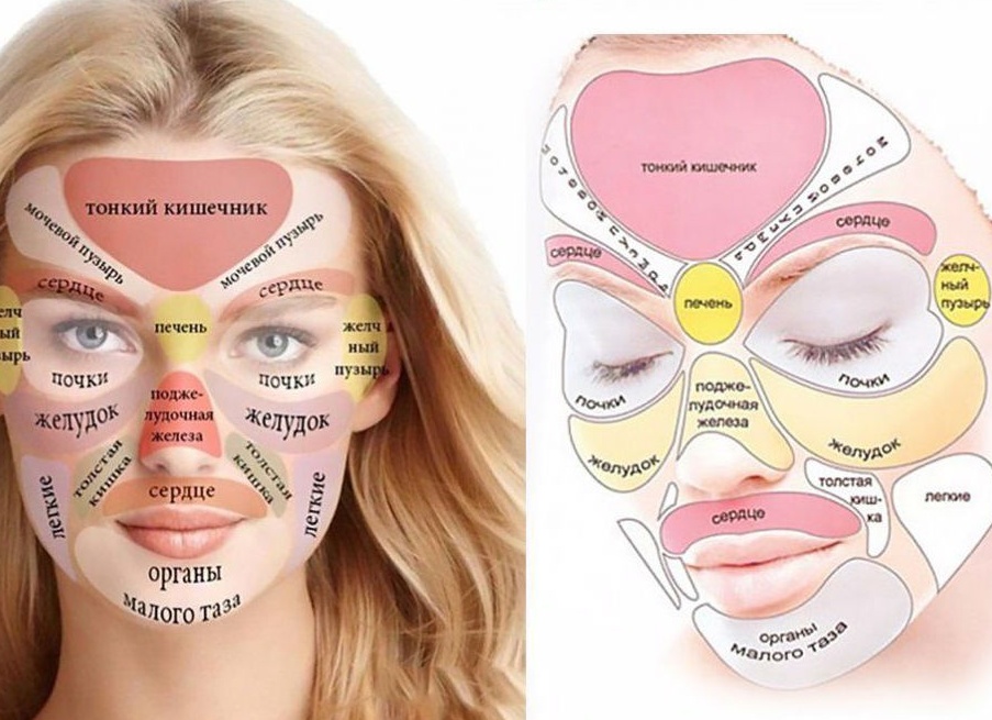 За какие внутренние органы отвечают прыщи на лице