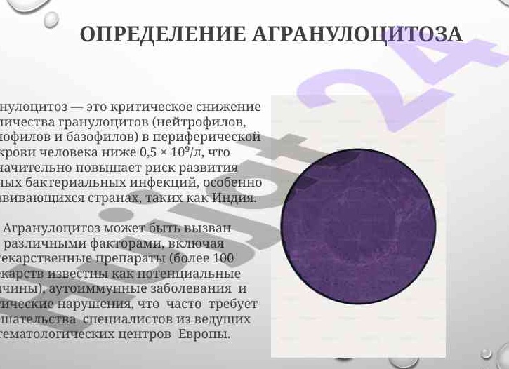 Причины снижения уровня нейтрофилов у взрослых и детей