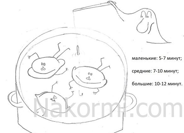 Сколько времени варить пельмени в кастрюле, мультиварке и пароварке Сколько времени варить пельмени в кастрюле, мультиварке и пароварке