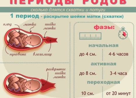 Как понять, что начались схватки у первородящих и при вторых родах Как понять, что начались схватки у первородящих и при вторых родах