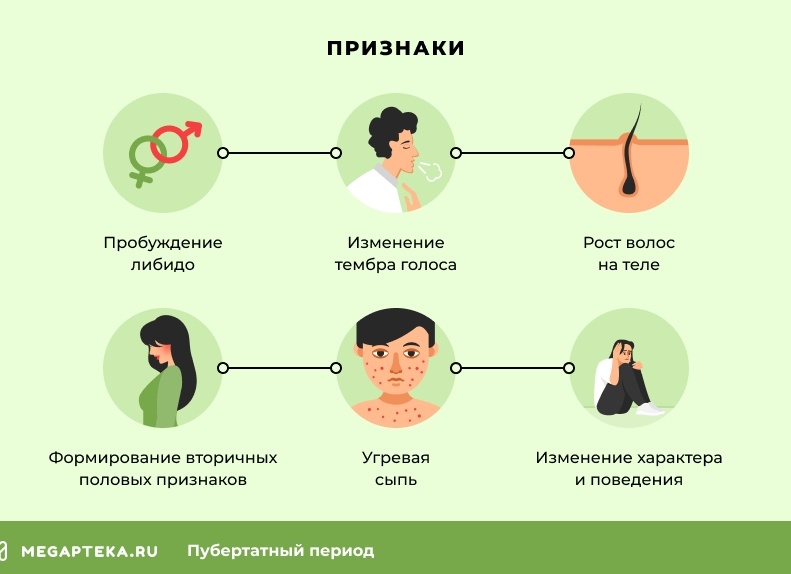 Признаки пубертатного периода у девочек