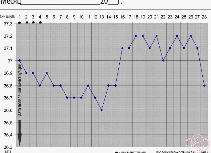 Примеры графиков базальной температуры до задержки и при наступлении беременности
