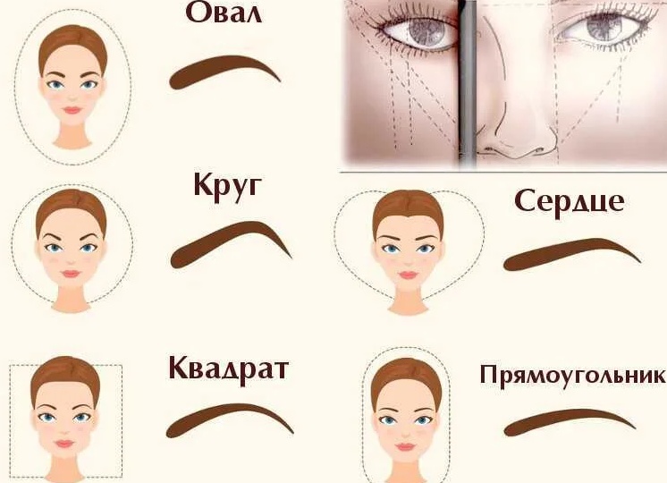 Как правильно и красиво выщипать брови по форме лица