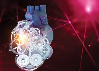 Причины, симптомы, диагностика и лечение мерцательной аритмия сердца