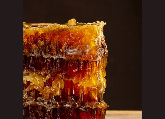 Полезные свойства меда и противопоказания к употреблению Полезные свойства меда и противопоказания к употреблению