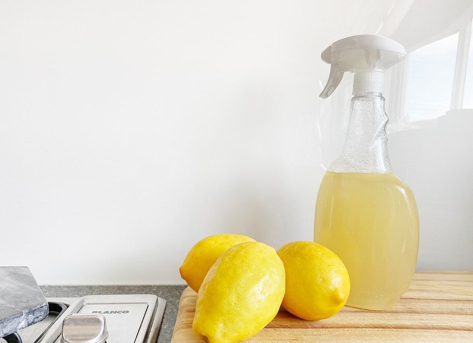 Какие средства помогут вывести блох у кошки