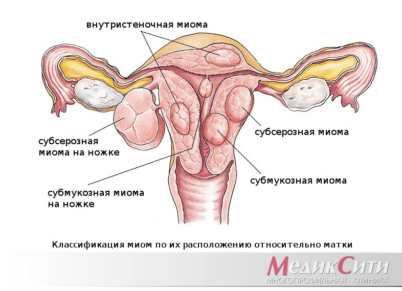 Как правильно рассчитать цикл месячных