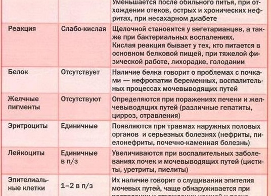 Сколько лейкоцитов в моче у детей считается нормой