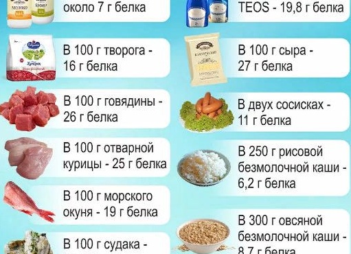 В каких продуктах содержится большое количество белка В каких продуктах содержится большое количество белка