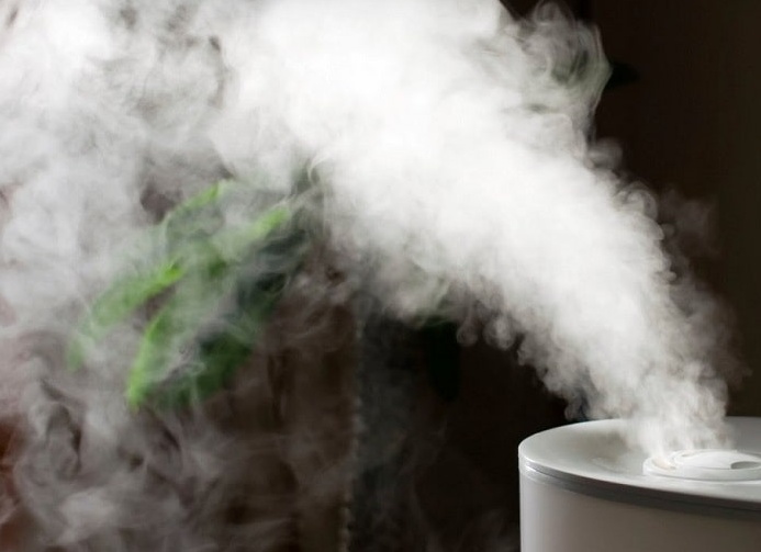 Выбираем паровой увлажнитель для воздуха Выбираем паровой увлажнитель для воздуха