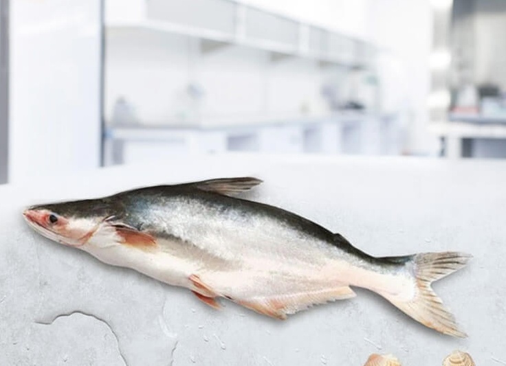 Пангасиус — что за рыба, чем полезна и вредна, как ее готовить