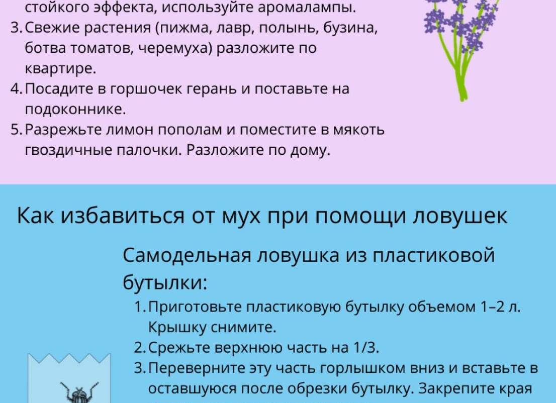 Как избавиться от мух в квартире: профессиональные и народные средства