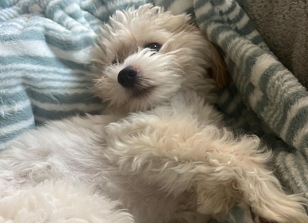 Какие фрукты, ягоды и овощи можно кушать кормящим мамам после родов Какие фрукты, ягоды и овощи можно кушать кормящим мамам после родов