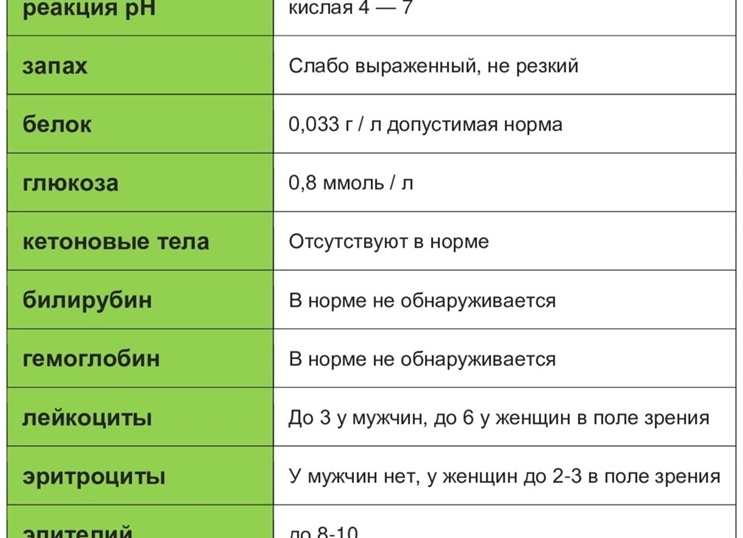 Норма лейкоцитов в моче у женщин: анализ, таблица, причины отклонений