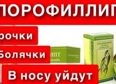 Как лечить болячки в носу у взрослых и детей Как лечить болячки в носу у взрослых и детей