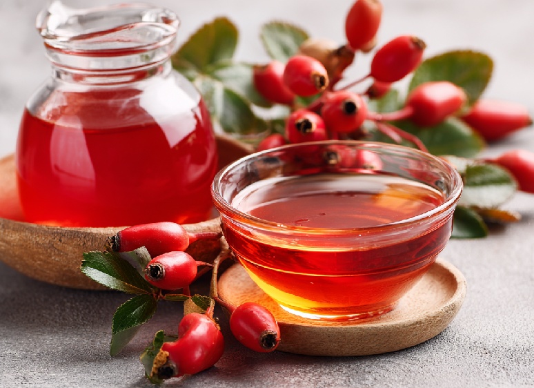 Шиповник: польза и вред, способы приготовления снадобий