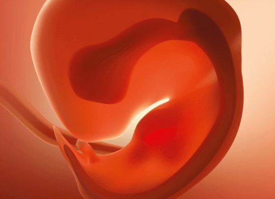 Что происходит на 4 неделе беременности от зачатия в организме женщины