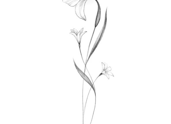 Черно-белые и цветные эскизы тату для девушек — маленькие и большие Черно-белые и цветные эскизы тату для девушек — маленькие и большие