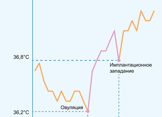 Какая должна быть базальная температура перед месячными и при них