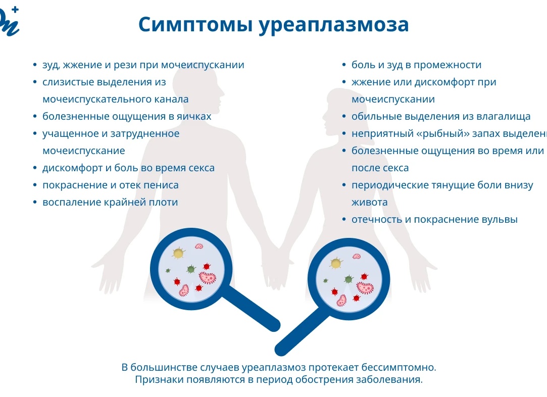 Уреаплазма у женщин: симптомы и способы лечения Уреаплазма у женщин: симптомы и способы лечения