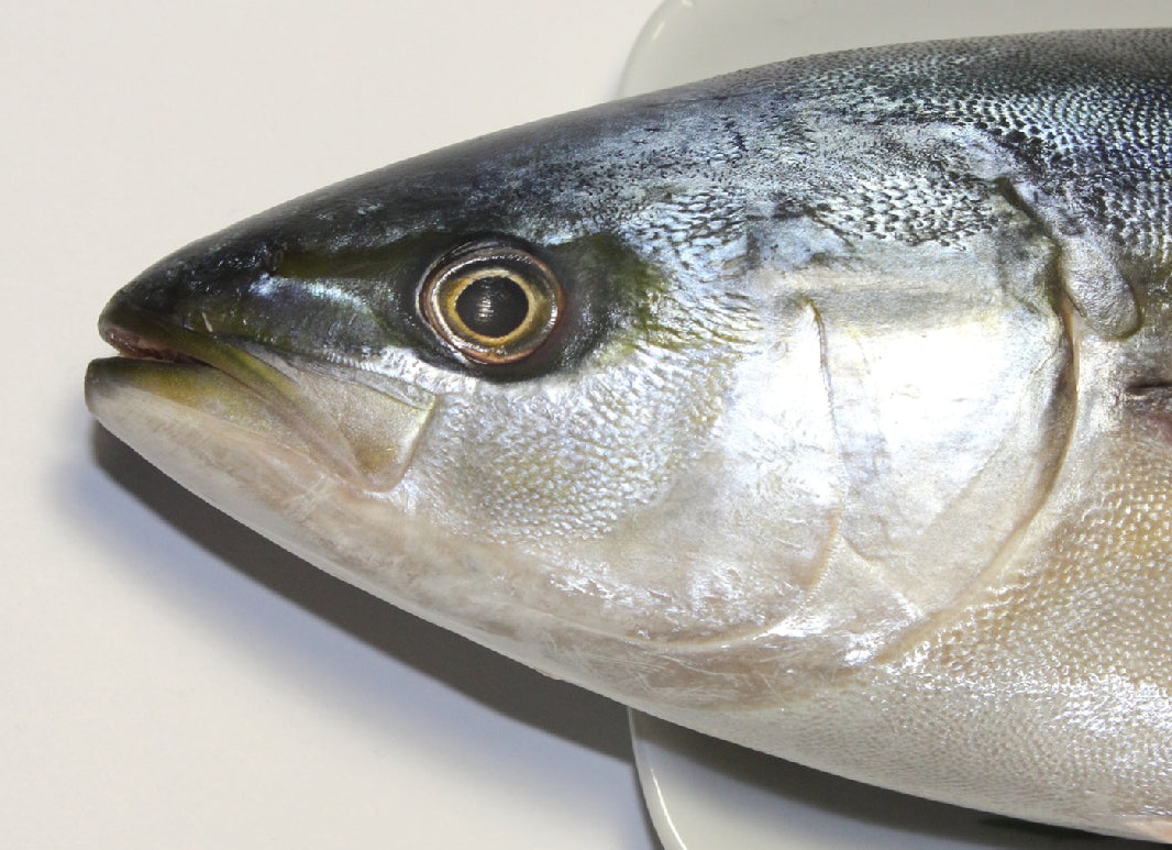 Как делать вкусные домашние закуски к пиву Как делать вкусные домашние закуски к пиву