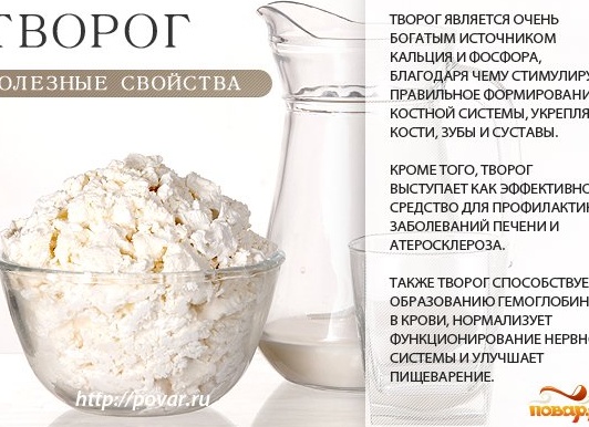 Чем полезен творог для организма человека