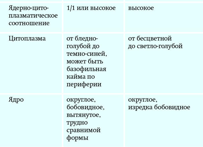 Лимфоциты в крови повышены: значение и причины