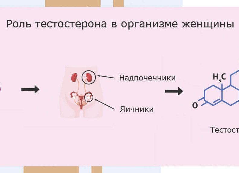 Норма тестостерона у женщин, способы повышения и понижения Норма тестостерона у женщин, способы повышения и понижения
