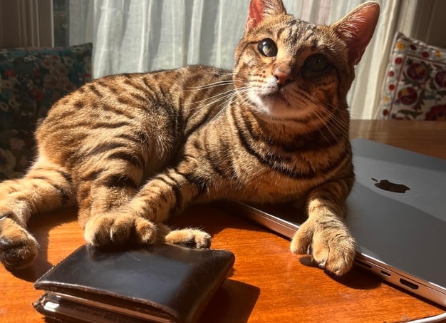 Что делать и как вести себя, если изменяет муж