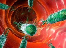 Причины и лечение дисбактериоза кишечника у взрослых