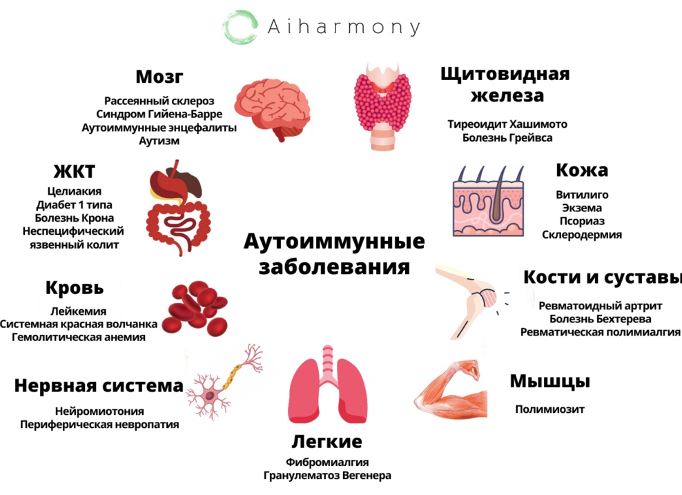 Список аутоиммунных заболеваний человека Список аутоиммунных заболеваний человека