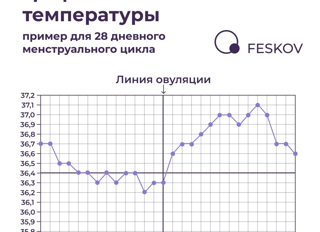 Как измерять базальную температуру и правильно составлять график