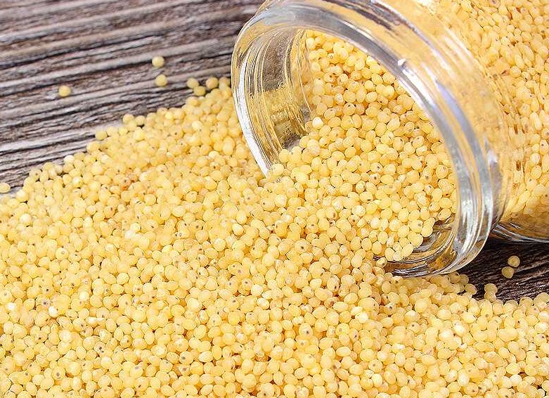 Пшено: польза для здоровья и вред, калорийность, рецепты