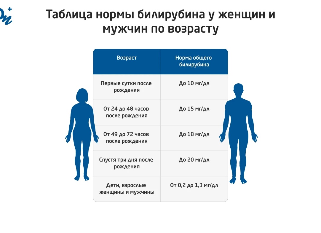 Билирубин в крови у мужчин: норма, значение, причины отклонения