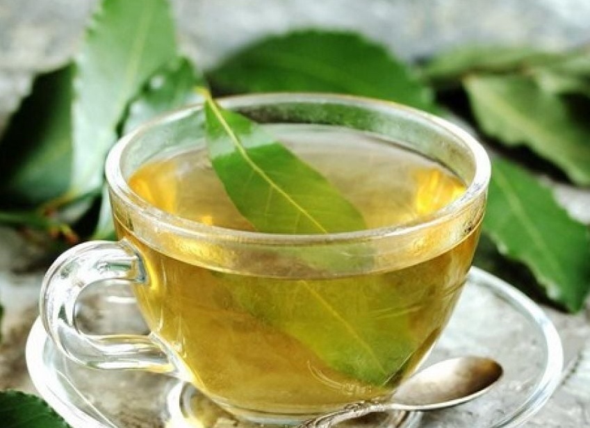 Лечебные свойства и противопоказания лаврового листа Лечебные свойства и противопоказания лаврового листа