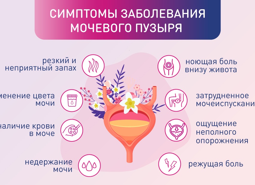 Симптомы и лечение болезней мочевого пузыря у женщин
