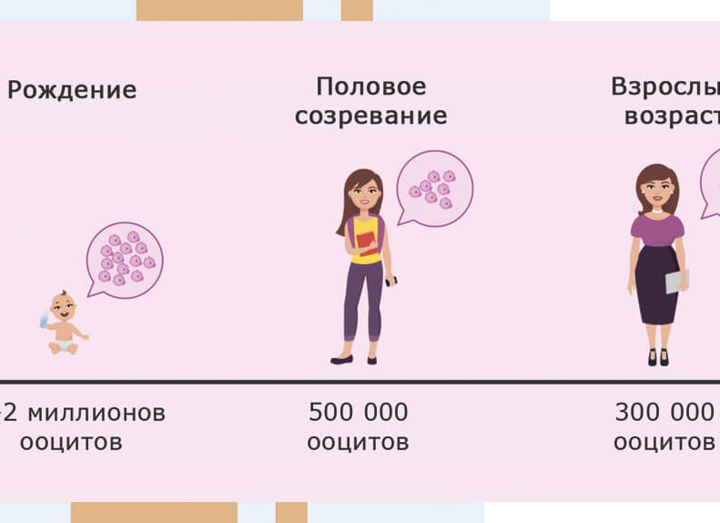 Как можно забеременеть с первого раза Как можно забеременеть с первого раза