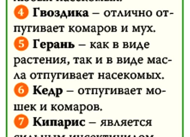 Какой запах сильно отпугивает комаров