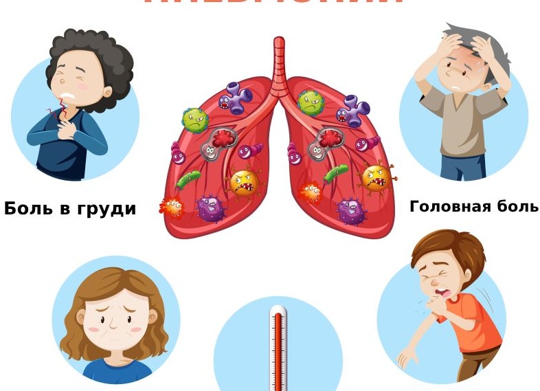 Признаки воспаления легких у взрослых и особенности лечения Признаки воспаления легких у взрослых и особенности лечения