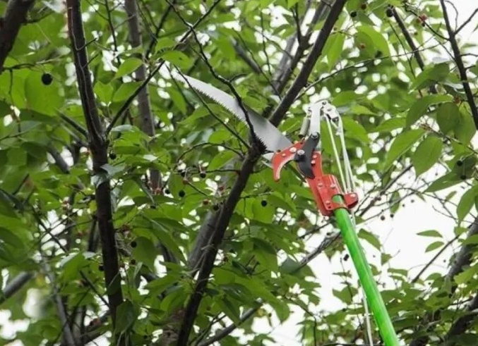 Стрижки до плеч: фото-обзор и советы по выбору Стрижки до плеч: фото-обзор и советы по выбору