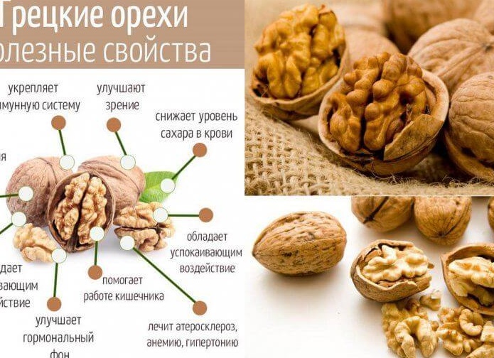 Полезные свойства грецкого ореха, о которых вы не знали