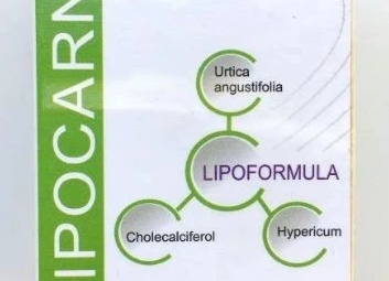 Lipocarnit, капсулы для похудения: правда или миф?